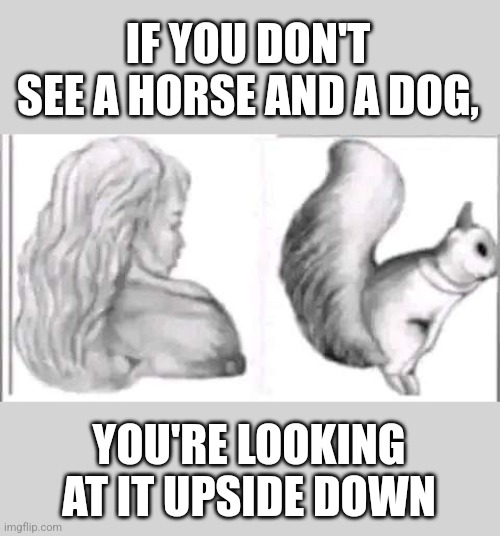 Upside down | IF YOU DON'T SEE A HORSE AND A DOG, YOU'RE LOOKING AT IT UPSIDE DOWN | image tagged in optical illusion,drawings,girl,dog,squirrel,horse | made w/ Imgflip meme maker