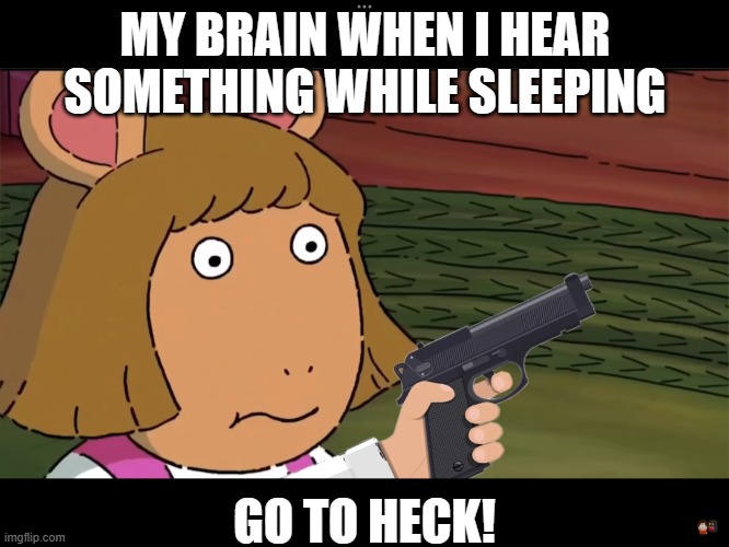 idk | MY BRAIN WHEN I HEAR SOMETHING WHILE SLEEPING; GO TO HECK! | image tagged in d w with a gun | made w/ Imgflip meme maker