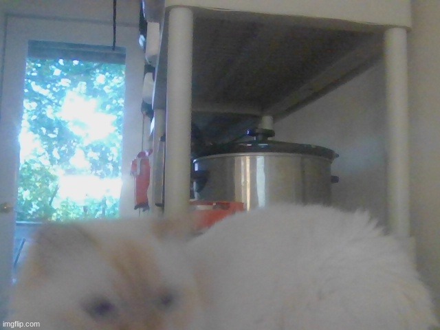 he ❤ | made w/ Imgflip meme maker