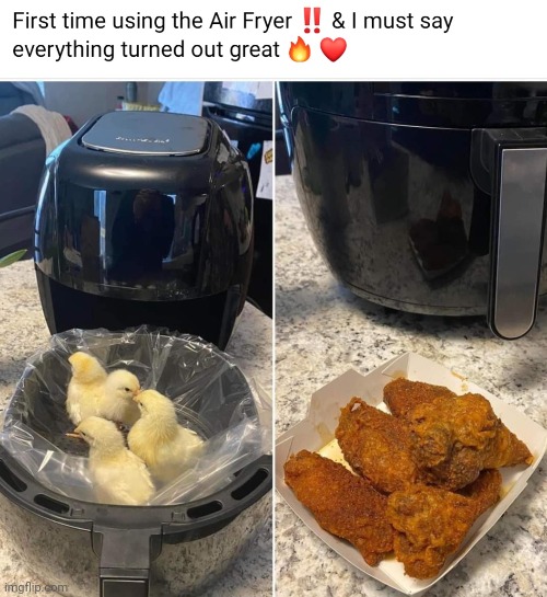 W | image tagged in cooking,food,funny,funny memes,chicken | made w/ Imgflip meme maker