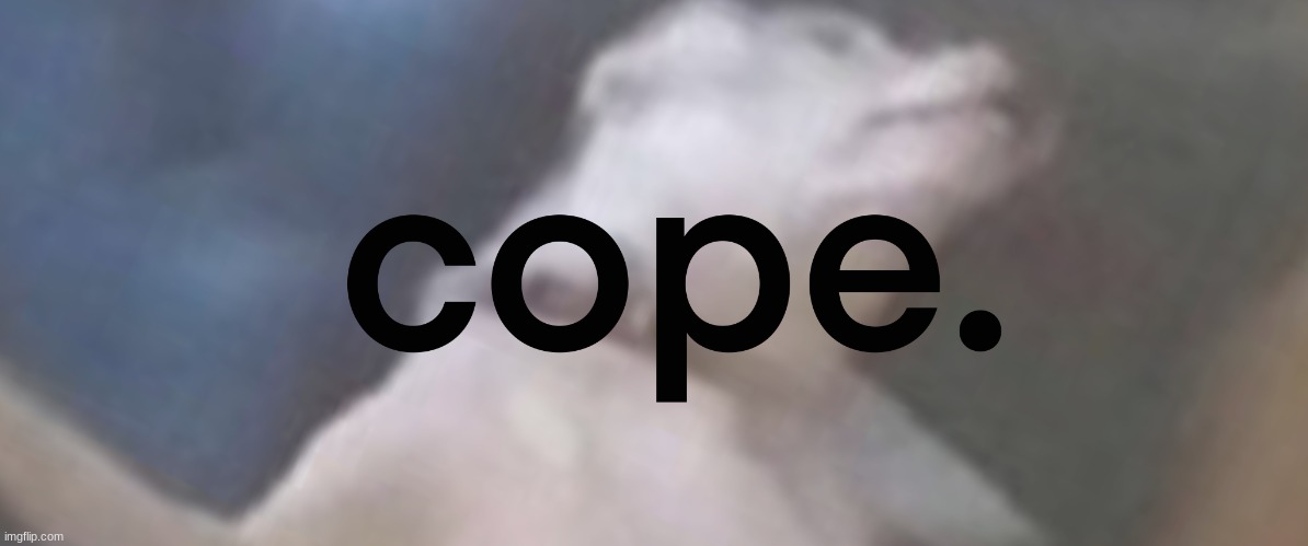 cope | image tagged in cope | made w/ Imgflip meme maker