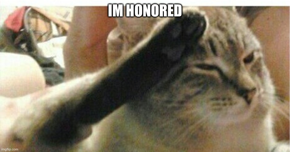 IM HONORED | image tagged in cat of honor | made w/ Imgflip meme maker