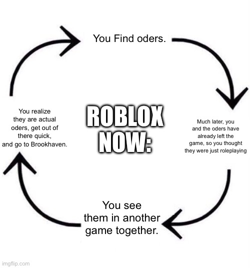Why…….. | You Find oders. ROBLOX NOW:; You realize they are actual oders, get out of there quick, and go to Brookhaven. Much later, you and the oders have already left the game, so you thought they were just roleplaying; You see them in another game together. | image tagged in the circle of life,bruh,roblox | made w/ Imgflip meme maker