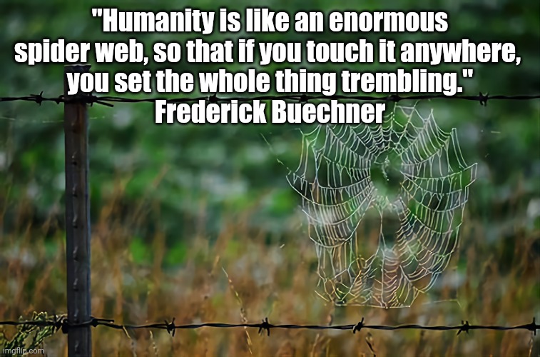 Humanity | "Humanity is like an enormous spider web, so that if you touch it anywhere, 
you set the whole thing trembling."
Frederick Buechner | image tagged in spider,web,humanity | made w/ Imgflip meme maker