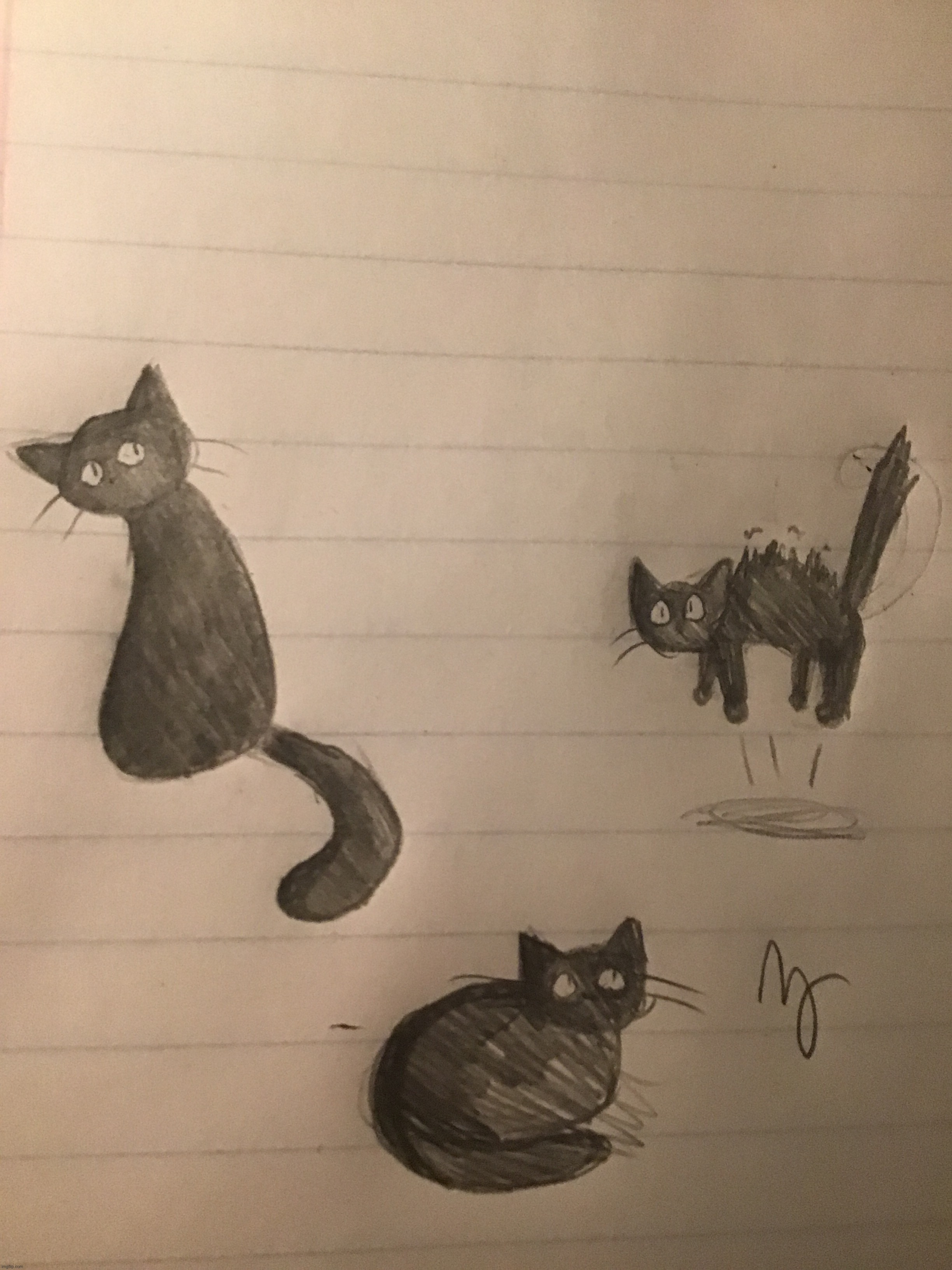 drawing cats when you dont know cat anatomy is fun | made w/ Imgflip meme maker