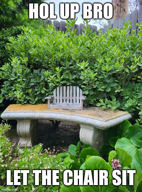 It's tired | HOL UP BRO; LET THE CHAIR SIT | made w/ Imgflip meme maker