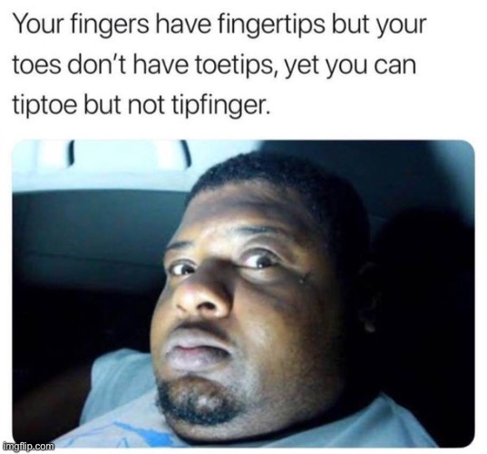 This is true | image tagged in funny | made w/ Imgflip meme maker