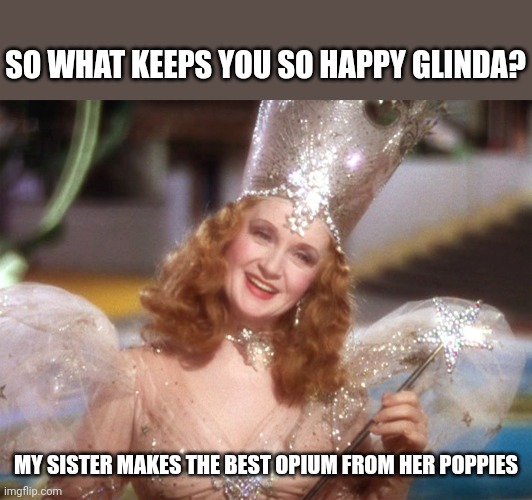 Glinda good witch wizard of oz | SO WHAT KEEPS YOU SO HAPPY GLINDA? MY SISTER MAKES THE BEST OPIUM FROM HER POPPIES | image tagged in glinda good witch wizard of oz | made w/ Imgflip meme maker