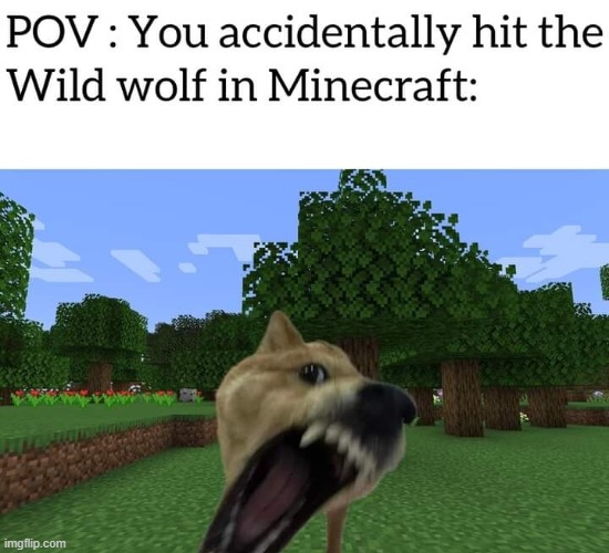 image tagged in minecraft | made w/ Imgflip meme maker