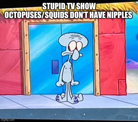I’ll put it in the you had one job because idk where else to put it | STUPID TV SHOW OCTOPUSES/SQUIDS DON’T HAVE NIPPLES | image tagged in spongebob | made w/ Imgflip meme maker