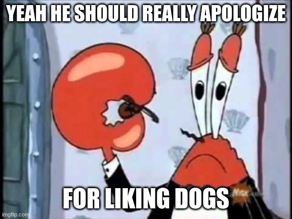 Mr. Krabs-Oh boo hoo.  This is the worlds smallest violin and it | YEAH HE SHOULD REALLY APOLOGIZE; FOR LIKING DOGS | image tagged in mr krabs-oh boo hoo this is the worlds smallest violin and it | made w/ Imgflip meme maker