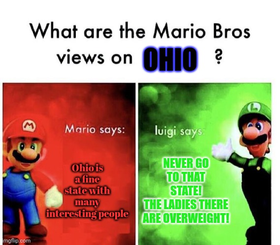 Mario Bros Views | OHIO; Ohio is a fine state with many interesting people; NEVER GO TO THAT STATE!
THE LADIES THERE ARE OVERWEIGHT! | image tagged in mario bros views,only in ohio | made w/ Imgflip meme maker