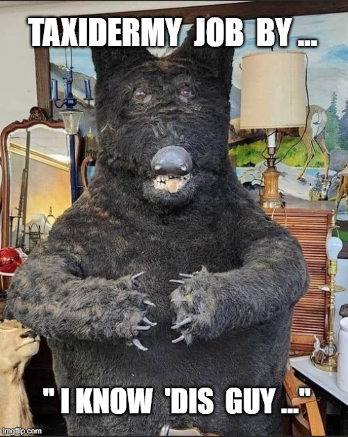 TAXIDERMY:  BEAR | TAXIDERMY  JOB  BY ... " I KNOW  'DIS  GUY ..." | image tagged in bear memes | made w/ Imgflip meme maker