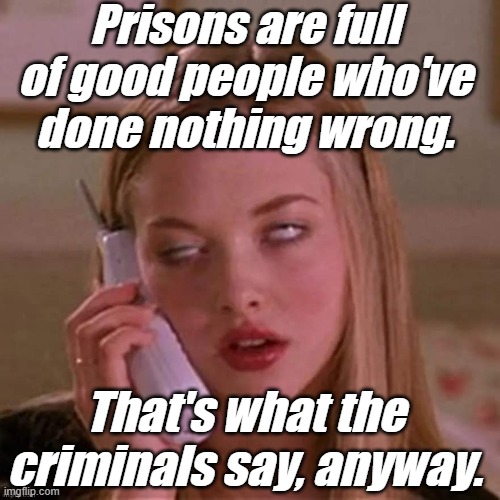 When Karen thinks you're stupid... | Prisons are full of good people who've done nothing wrong. That's what the criminals say, anyway. | image tagged in when karen thinks you're stupid | made w/ Imgflip meme maker