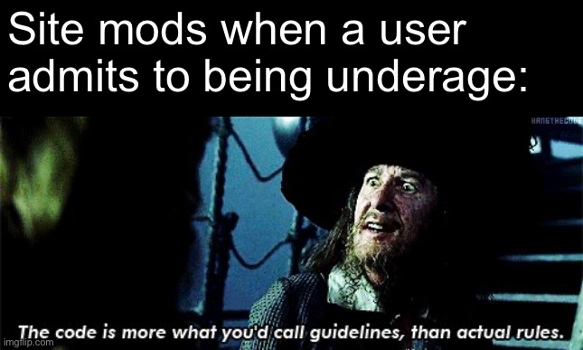 more like guidelines | Site mods when a user admits to being underage: | image tagged in more like guidelines | made w/ Imgflip meme maker