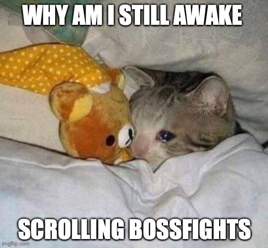 its 11:22 and I have school tommorow (help) | WHY AM I STILL AWAKE; SCROLLING BOSSFIGHTS | image tagged in crying cat | made w/ Imgflip meme maker