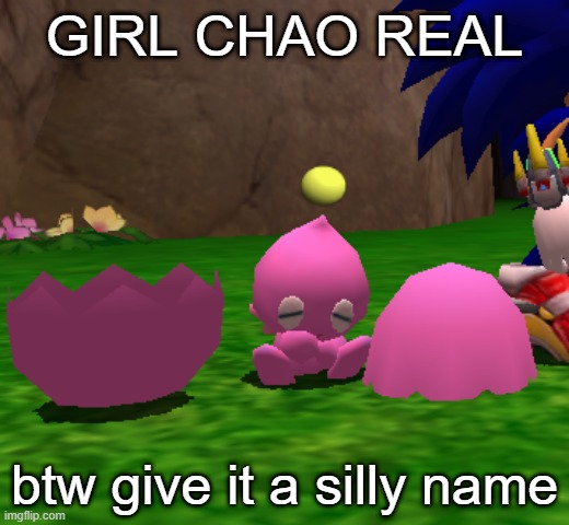 GIRL CHAO REAL; btw give it a silly name | made w/ Imgflip meme maker