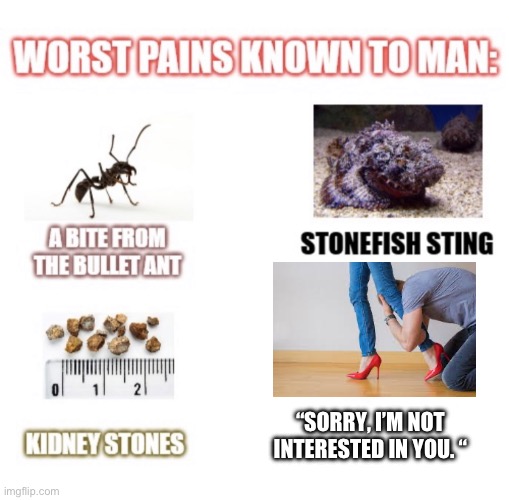 Worst pains known to man | “SORRY, I’M NOT INTERESTED IN YOU. “ | image tagged in worst pains known to man | made w/ Imgflip meme maker