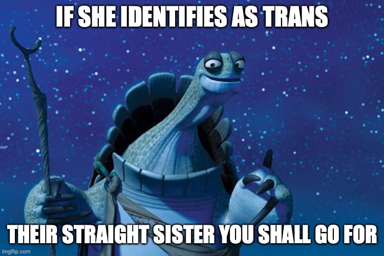 Master Oogway | IF SHE IDENTIFIES AS TRANS; THEIR STRAIGHT SISTER YOU SHALL GO FOR | image tagged in master oogway | made w/ Imgflip meme maker