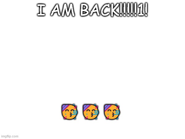 I GOT INTERNET!!! | I AM BACK!!!!!1! 🥳🥳🥳 | image tagged in party,return,happy | made w/ Imgflip meme maker