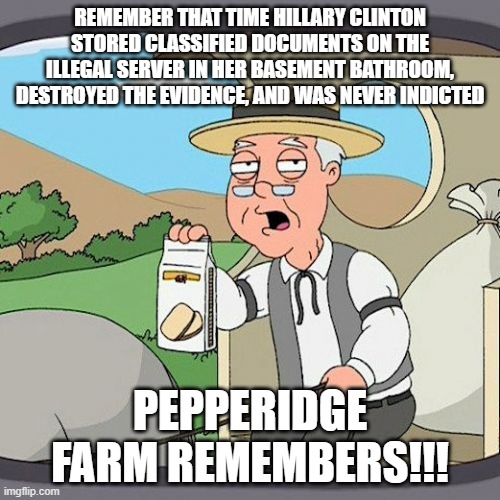 Pepperidge farm Remembers!! | REMEMBER THAT TIME HILLARY CLINTON STORED CLASSIFIED DOCUMENTS ON THE ILLEGAL SERVER IN HER BASEMENT BATHROOM, DESTROYED THE EVIDENCE, AND WAS NEVER INDICTED; PEPPERIDGE FARM REMEMBERS!!! | image tagged in memes,pepperidge farm remembers,hillary clinton,democrat,classified,illegal | made w/ Imgflip meme maker