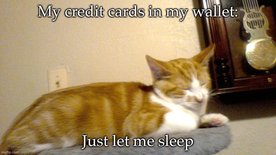 Sleeping credit cards | My credit cards in my wallet:; Just let me sleep | image tagged in uhhhhhhhhhhh i told you already just let me sleep,credit card | made w/ Imgflip meme maker