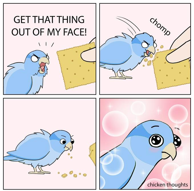 Bird eating cracker meme Blank Meme Template