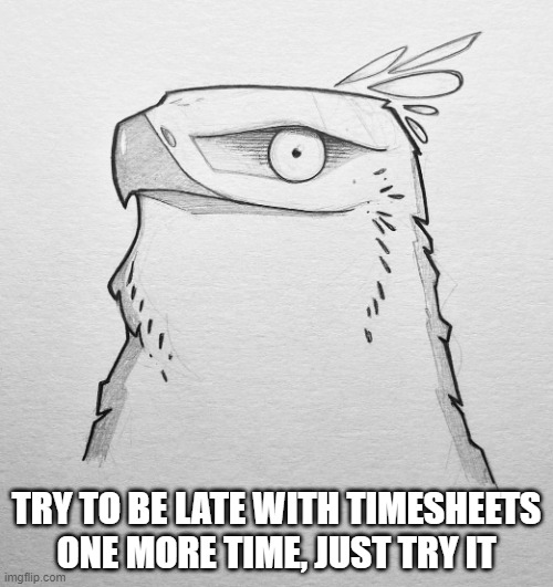 Timesheets | TRY TO BE LATE WITH TIMESHEETS ONE MORE TIME, JUST TRY IT | image tagged in try me hawk | made w/ Imgflip meme maker