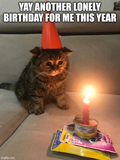 I'm gonna sleep all day and do nothing to celebrate it | YAY ANOTHER LONELY BIRTHDAY FOR ME THIS YEAR | image tagged in sad birthday cat,birthday | made w/ Imgflip meme maker