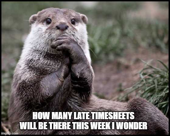 Timesheets | HOW MANY LATE TIMESHEETS WILL BE THERE THIS WEEK I WONDER | image tagged in otter - interesting | made w/ Imgflip meme maker