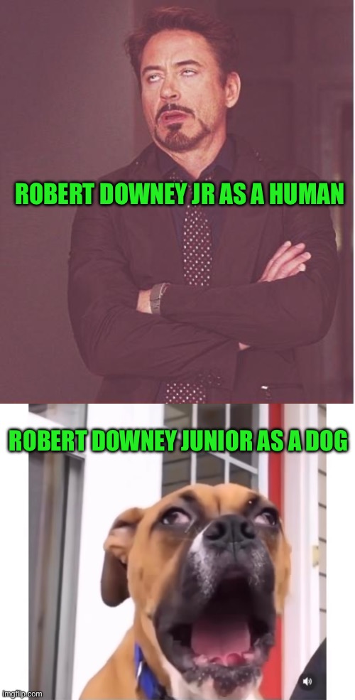 No Way… | ROBERT DOWNEY JR AS A HUMAN; ROBERT DOWNEY JUNIOR AS A DOG | image tagged in memes,face you make robert downey jr,marvel,dogs,ironman,lookalike | made w/ Imgflip meme maker