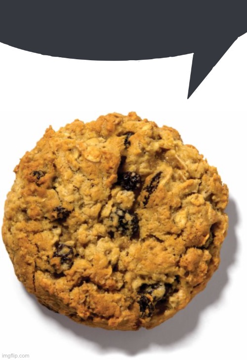 The person above me likes oatmeal raisin cookies. | image tagged in discord speech bubble,oatmeal raisin cookie | made w/ Imgflip meme maker