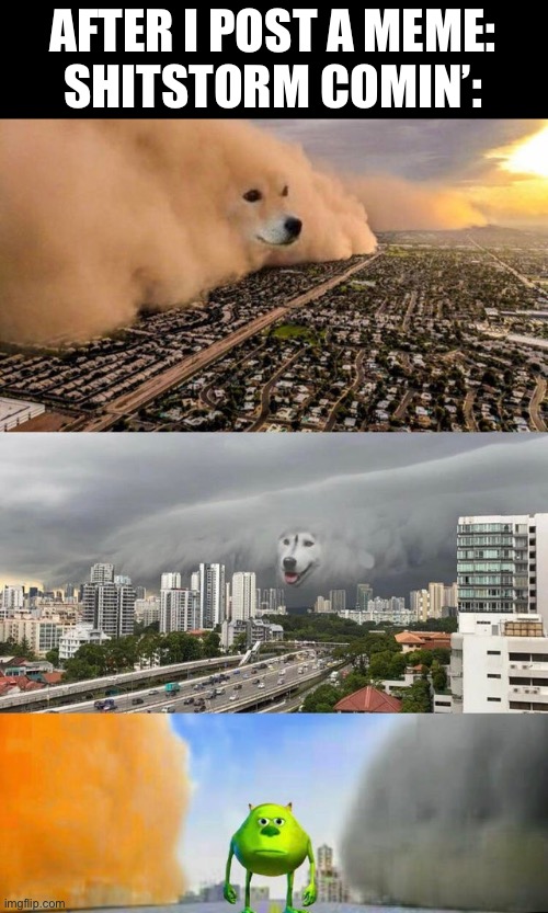 Shitstorm | AFTER I POST A MEME:
SHITSTORM COMIN’: | image tagged in dust doge storms and mikey caught in the middle,shitstorm,comments | made w/ Imgflip meme maker