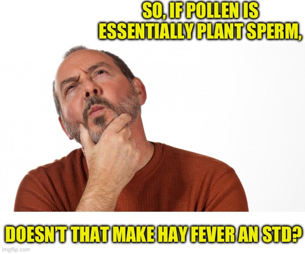 Pollen | SO, IF POLLEN IS ESSENTIALLY PLANT SPERM, DOESN’T THAT MAKE HAY FEVER AN STD? | image tagged in hmmm | made w/ Imgflip meme maker