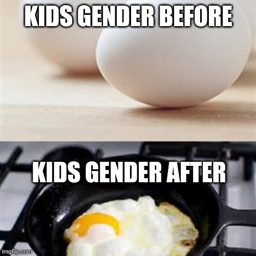 Transgenderism | KIDS GENDER BEFORE; KIDS GENDER AFTER | image tagged in brain brain on drugs egg | made w/ Imgflip meme maker