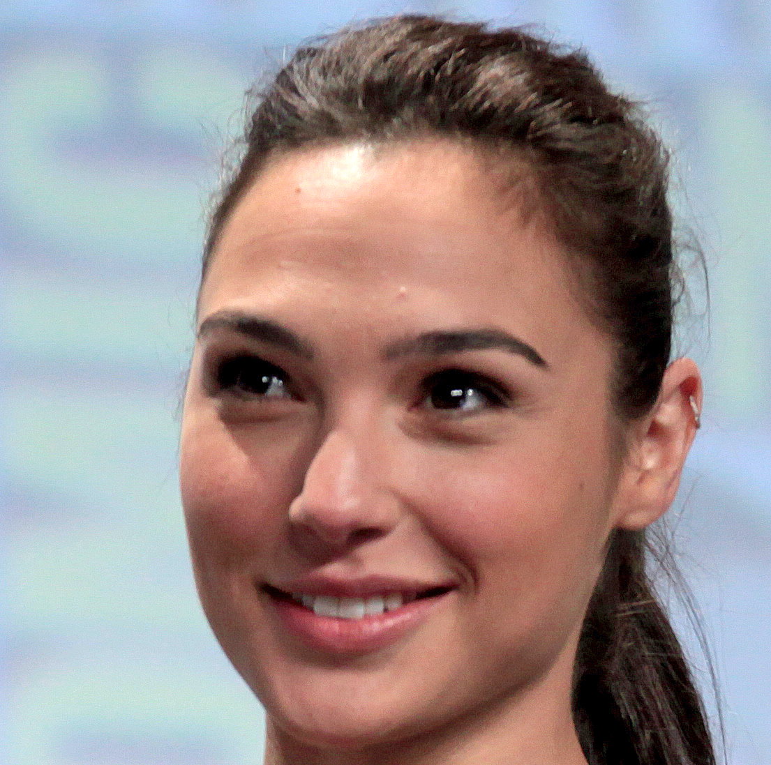 gal gadot Blank Meme Template