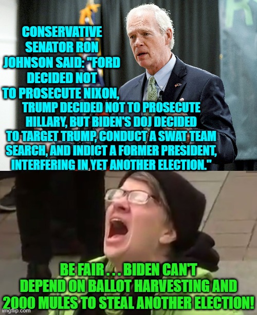 Definitely what it all boils down to. | CONSERVATIVE SENATOR RON JOHNSON SAID: "FORD DECIDED NOT TO PROSECUTE NIXON, TRUMP DECIDED NOT TO PROSECUTE HILLARY, BUT BIDEN'S DOJ DECIDED TO TARGET TRUMP, CONDUCT A SWAT TEAM SEARCH, AND INDICT A FORMER PRESIDENT, INTERFERING IN YET ANOTHER ELECTION."; BE FAIR . . . BIDEN CAN'T DEPEND ON BALLOT HARVESTING AND 2000 MULES TO STEAL ANOTHER ELECTION! | image tagged in truth | made w/ Imgflip meme maker