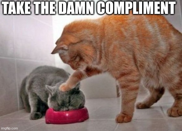 Force feed cat | TAKE THE DAMN COMPLIMENT | image tagged in force feed cat | made w/ Imgflip meme maker
