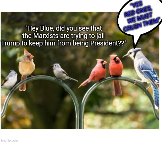 For The Birds | "YES RED ONES, WE MUST CRUSH THEM"; "Hey Blue, did you see that the Marxists are trying to jail Trump to keep him from being President??" | image tagged in crush,cultural marxism,vote trump | made w/ Imgflip meme maker