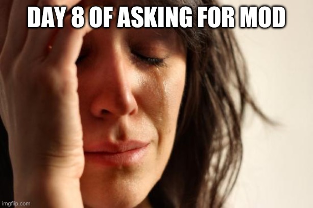 First World Problems Meme | DAY 8 OF ASKING FOR MOD | image tagged in memes,first world problems | made w/ Imgflip meme maker