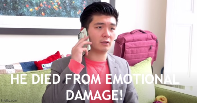 HE DIED FROM EMOTIONAL DAMAGE | image tagged in he died from emotional damage | made w/ Imgflip meme maker