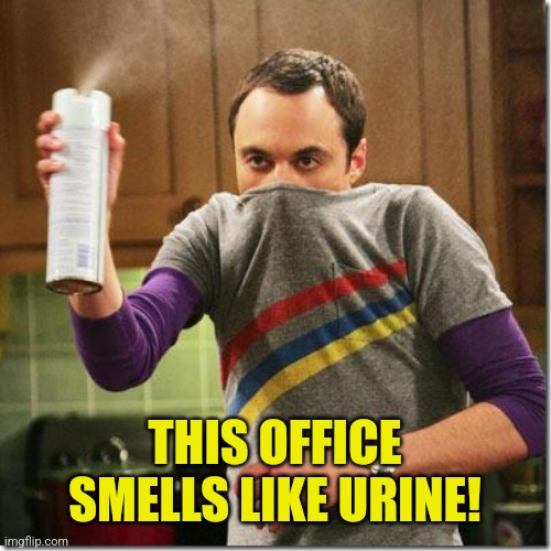 air freshener sheldon cooper | THIS OFFICE SMELLS LIKE URINE! | image tagged in air freshener sheldon cooper | made w/ Imgflip meme maker