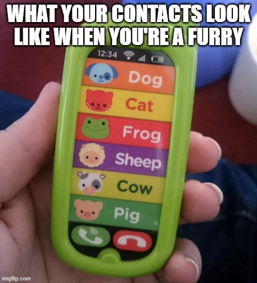 WHAT YOUR CONTACTS LOOK LIKE WHEN YOU'RE A FURRY | image tagged in phone | made w/ Imgflip meme maker