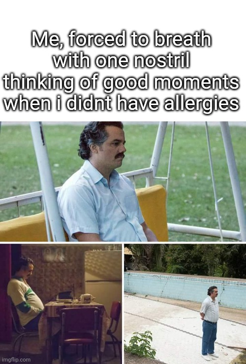 Snif | Me, forced to breath with one nostril thinking of good moments when i didnt have allergies | image tagged in memes,sad pablo escobar | made w/ Imgflip meme maker