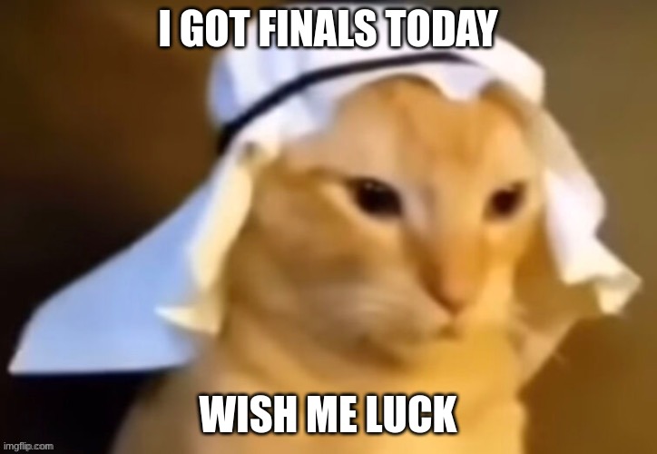 haram cat | I GOT FINALS TODAY; WISH ME LUCK | image tagged in haram cat | made w/ Imgflip meme maker