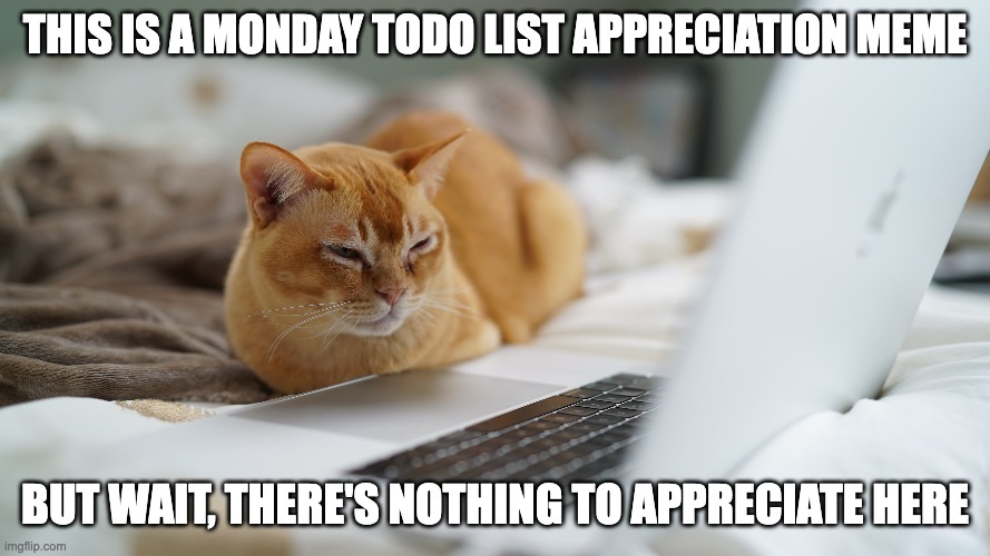 monday cat | THIS IS A MONDAY TODO LIST APPRECIATION MEME; BUT WAIT, THERE'S NOTHING TO APPRECIATE HERE | image tagged in monday,job,work | made w/ Imgflip meme maker