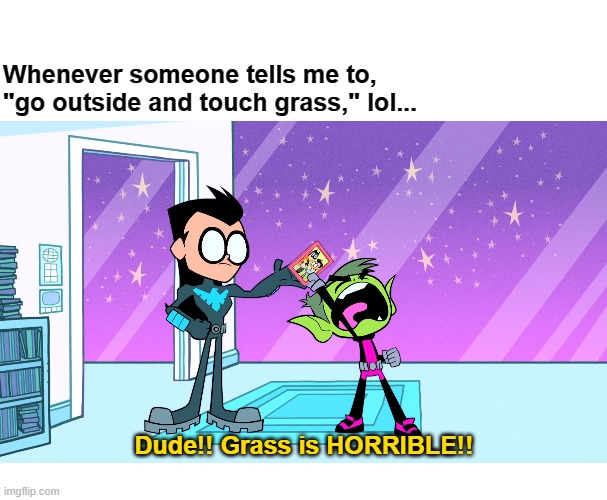 Dude Grass is Horrible!! | Whenever someone tells me to, "go outside and touch grass," lol... Dude!! Grass is HORRIBLE!! | image tagged in teen titans go | made w/ Imgflip meme maker