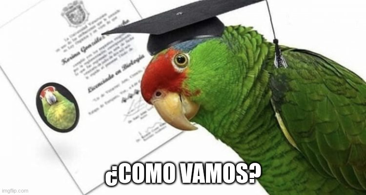 Loro, Project Manager, Scrum Master, Team Lead | ¿COMO VAMOS? | image tagged in loro aprende,project manager,programming | made w/ Imgflip meme maker