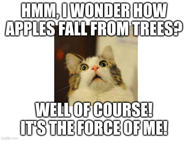 How do apples fall from trees? | HMM, I WONDER HOW APPLES FALL FROM TREES? WELL OF COURSE! IT'S THE FORCE OF ME! | image tagged in funny | made w/ Imgflip meme maker