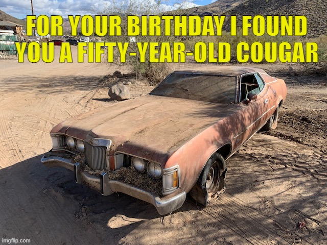 50 year old cougar | FOR YOUR BIRTHDAY I FOUND YOU A FIFTY-YEAR-OLD COUGAR | image tagged in cougar,happy birthday | made w/ Imgflip meme maker